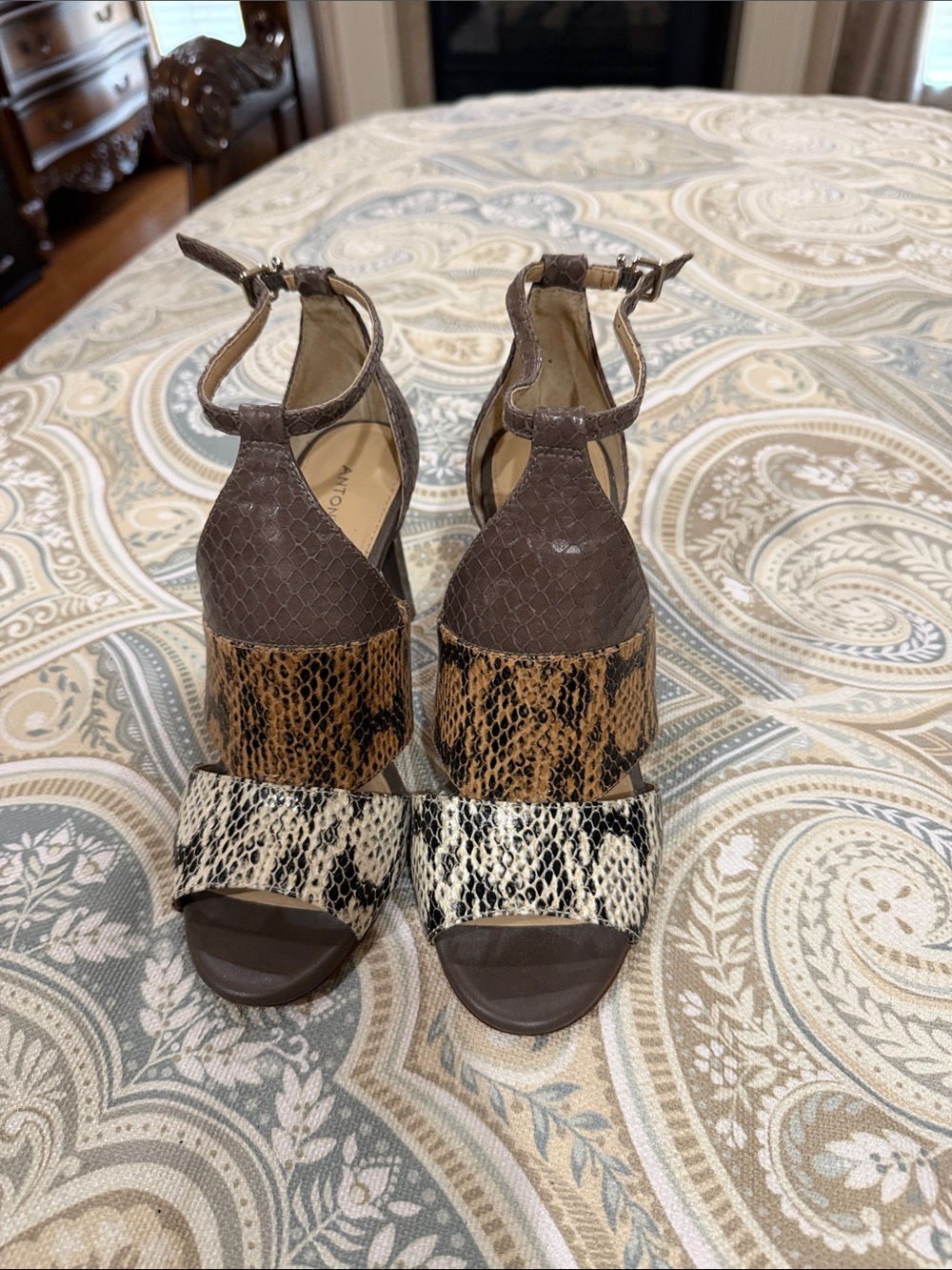 ANTONIO MELANI Brown Snake-Print Block Heel Sandals with Multi-Tone Straps